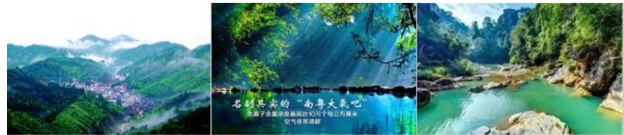 QQ图片20190610184624