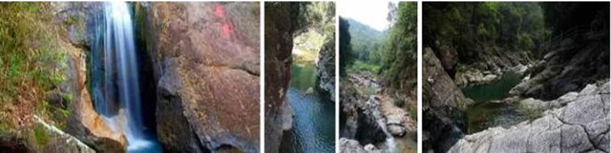 QQ图片20190610184624